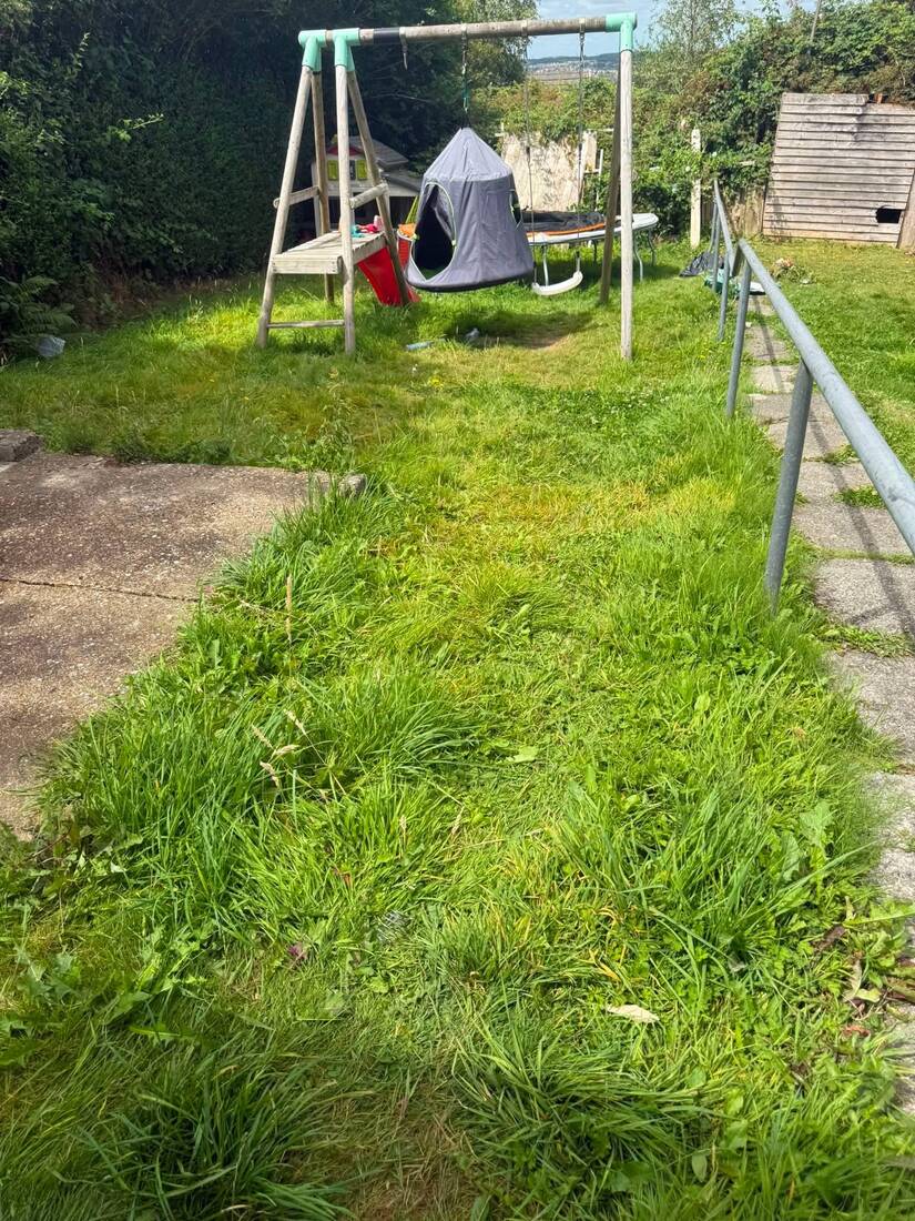 Overgrown garden before clearance work
